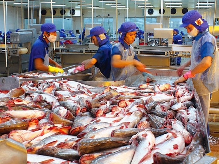 Positive signs ahead for Vietnamese seafood exports to US